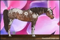 Horse Color:Liver Chestnut Ice Sabino 