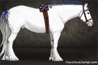 Horse Color:Bay Ice Sabino Appaloosa 
