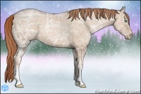 Horse Color:Smoky Black Ice Pearl 