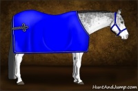 Horse Color:White Spotted Black Ice Rabicano