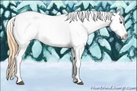 Horse Color:Buckskin Roan Dun Splash Tobiano Appaloosa 