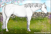 Horse Color:Gray White Spotted Bay Dun 
