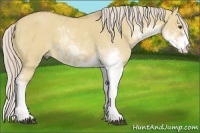 Horse Color:Palomino Dun Sabino 