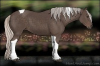 Horse Color:Silver Black Tobiano