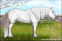 Horse Color:Chestnut Splash Appaloosa Rabicano 