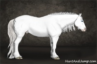 Horse Color:Chocolate Palomino Pearl Splash Tobiano Appaloosa