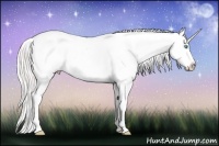 Horse Color:Silver Classic Cream Champagne Pearl Dun Splash Tobiano Varnish Rabicano