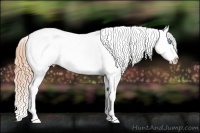 Horse Color:Buckskin Pearl Dun Splash Tobiano Appaloosa Rabicano