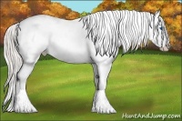 Horse Color:Silver Brown Splash Appaloosa 