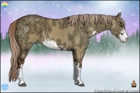 Horse Color:Red Dun Ice Sabino 
