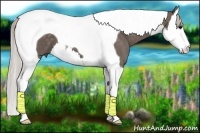 Horse Color:Silver Black Splash Tobiano 