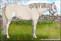 Horse Color:Smoky Creme 