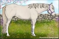 Horse Color:Smoky Creme Rabicano 