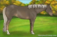 Horse Color:Chocolate Palomino Frame 