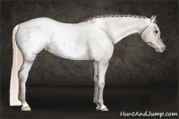 Horse Color:Red Roan Snowcap 