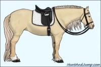 Horse Color:Palomino Roan Dun Sabino