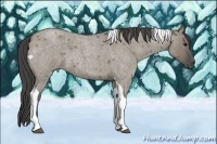 Horse Color:Smoky Grullo Roan Tobiano