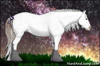 Horse Color:Buckskin Dun Appaloosa