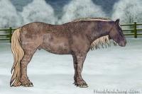 Horse Color:Gold Champagne Ice 