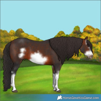 Horse Color:White Spotted Brown Frame 