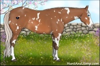 Horse Color:White Spotted Silver Bay Splash 