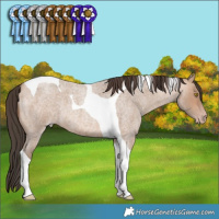 Horse Color:Sable Champagne Roan Tobiano 