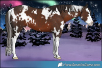 Horse Color:White Spotted Liver Chestnut Splash 