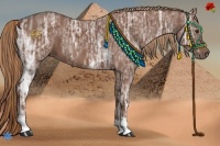 Horse Color:Chestnut Ice 