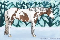 Horse Color:White Spotted Silver Black Splash Tobiano 