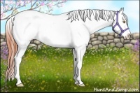 Horse Color:Amber Champagne Tobiano Blanket 