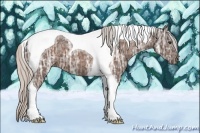 Horse Color:Silver Bay Ice Tobiano
