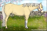 Horse Color:Palomino Dun 