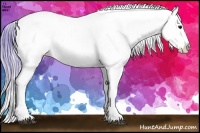 Horse Color:Watercolor Buckskin Splash Appaloosa 