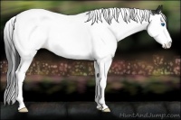 Horse Color:Smoky Black Splash Tobiano Rabicano