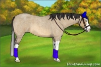 Horse Color:Buckskin Roan Dun Splash 