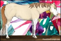 Horse Color:Gold Champagne Roan Dun Sabino Splash Frame