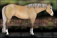 Horse Color:Silver Bay Dun Splash Rabicano 