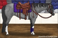 Horse Color:Blue Roan 