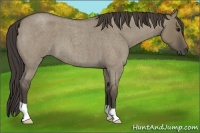 Horse Color:Smoky Grullo Roan 