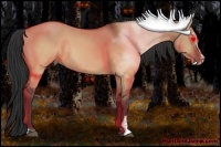 Horse Color:Brown Dun Sabino 