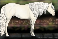 Horse Color:Palomino Pearl Dun 