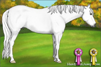 Horse Color:Gray Brown 