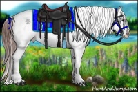 Horse Color:Brown Sabino Tobiano Appaloosa  Brindle