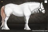 Horse Color:Sable Champagne Tobiano Appaloosa  Brindle