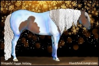 Horse Color:Silver Bay Tobiano 