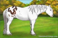 Horse Color:White Spotted Brown Snowflake Varnish 
