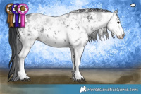 Horse Color:White Spotted Black Sabino 