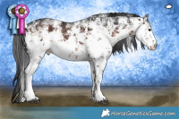 Horse Color:White Spotted Brown Sabino Rabicano