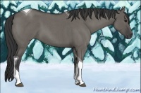 Horse Color:Grullo Roan Tobiano