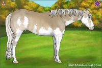 Horse Color:Silver Brown Splash 